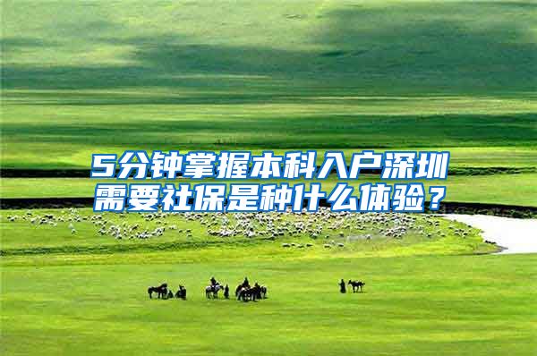5分钟掌握本科入户深圳需要社保是种什么体验？