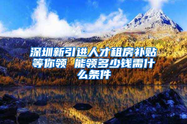 深圳新引进人才租房补贴等你领 能领多少钱需什么条件