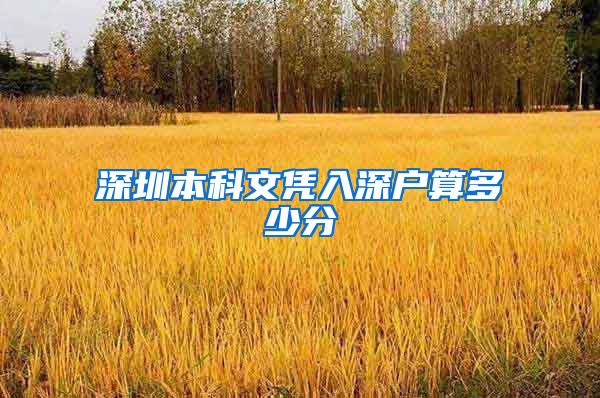 深圳本科文凭入深户算多少分