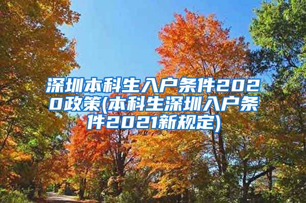 深圳本科生入户条件2020政策(本科生深圳入户条件2021新规定)