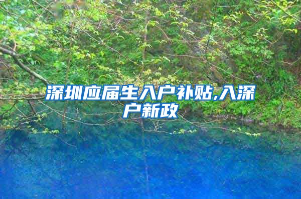 深圳应届生入户补贴,入深户新政