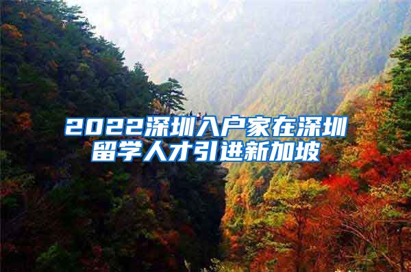 2022深圳入户家在深圳留学人才引进新加坡