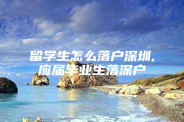 留学生怎么落户深圳,应届毕业生落深户