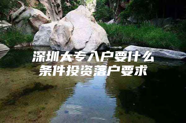 深圳大专入户要什么条件投资落户要求