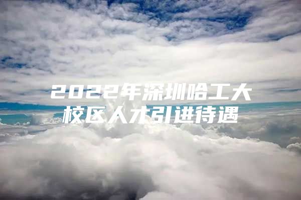 2022年深圳哈工大校区人才引进待遇