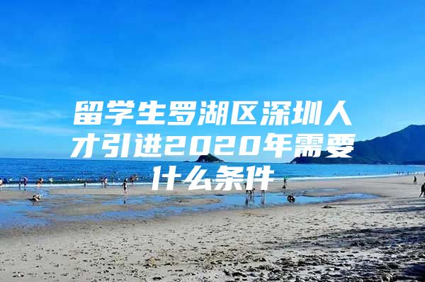 留学生罗湖区深圳人才引进2020年需要什么条件
